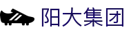 阳大集团股份有限公司